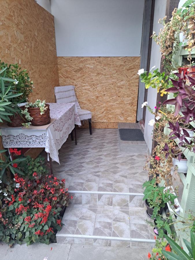 Apartment Capital Town Vk 14 Novi Sad Exterior photo